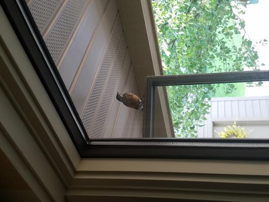 Submitted by: hijakk1