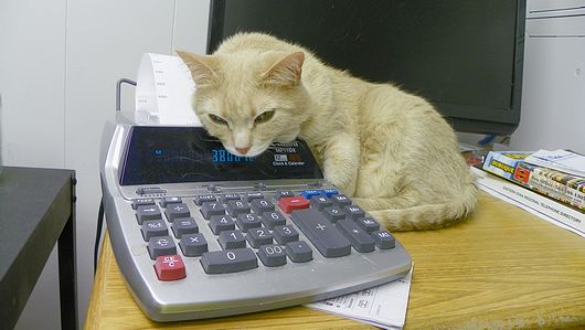 Submitted by: pmenster