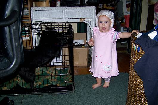 Submitted by: Earl S