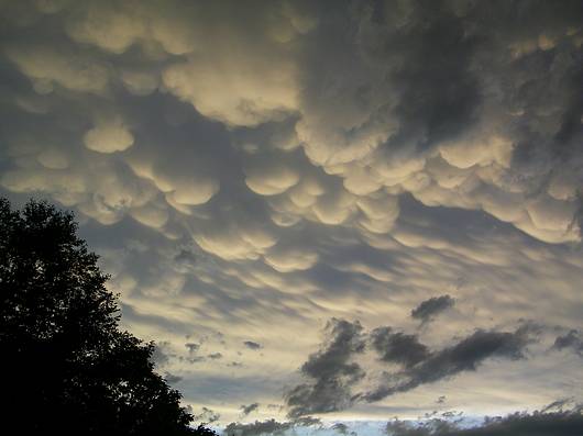 Submitted by: PrairieRobin