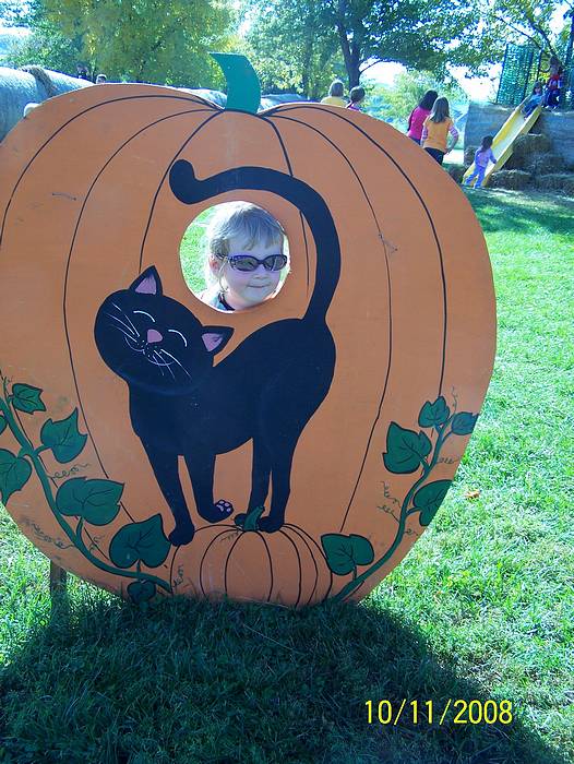 Submitted by: Diane Harris