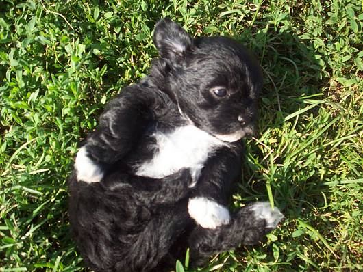 Submitted by: Mnahemmer