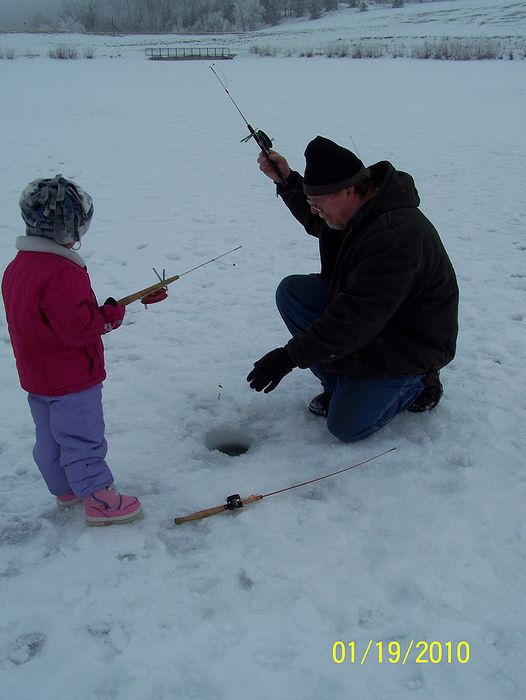 Submitted by: Diane Harris