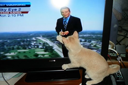 Submitted by: pmenster