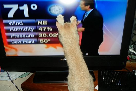 Submitted by: pmenster