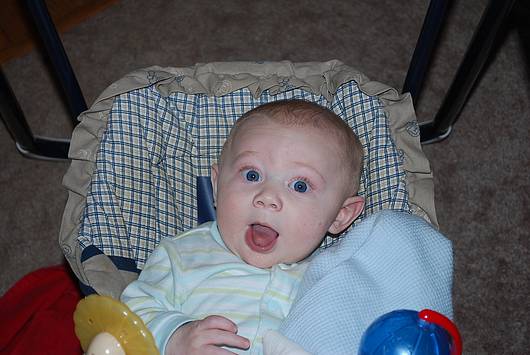 Submitted by: DadsaCubfan