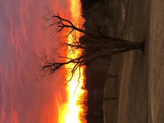 Submitted by: LrlServin@aol.com