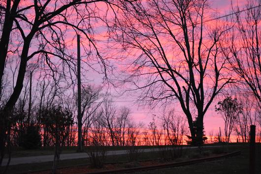 Submitted by: Peggy Driscoll