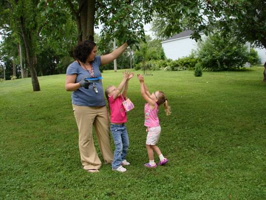 Submitted by: Peggy Driscoll