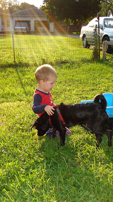Submitted by: Juanita L