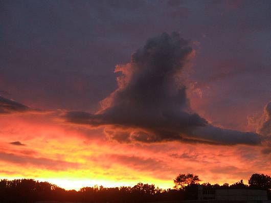 Submitted by: mayneboy