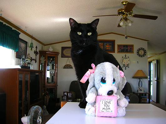 Submitted by: KandJKamper@aol.com