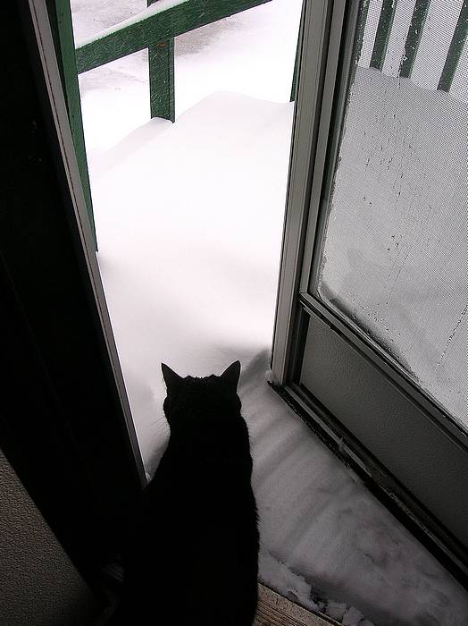 Submitted by: KandJKamper@aol.com
