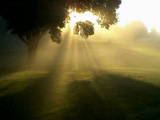 Submitted by: Golfer388