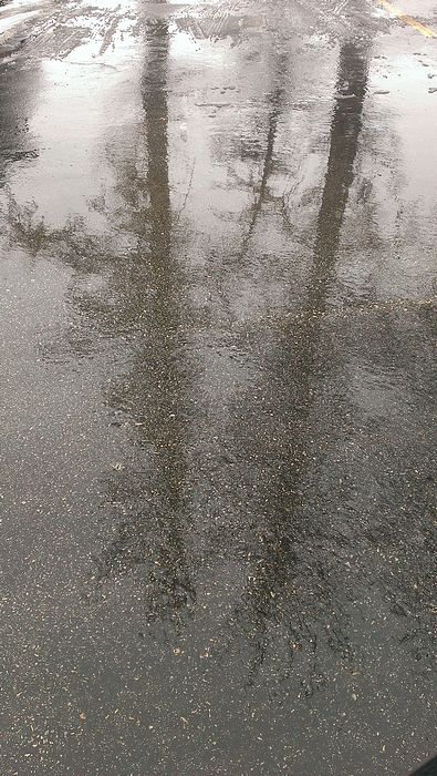 Submitted by: stefanitus