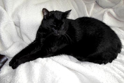 Submitted by: deanna