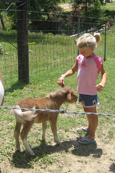 Submitted by: Linda Culbertson