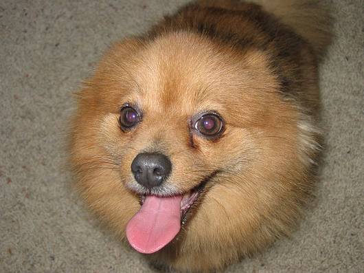 Submitted by: katieski