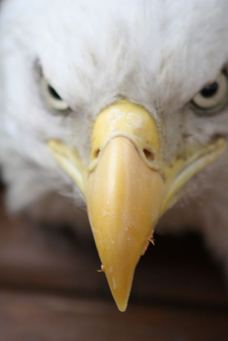 Submitted by: jrmills5520