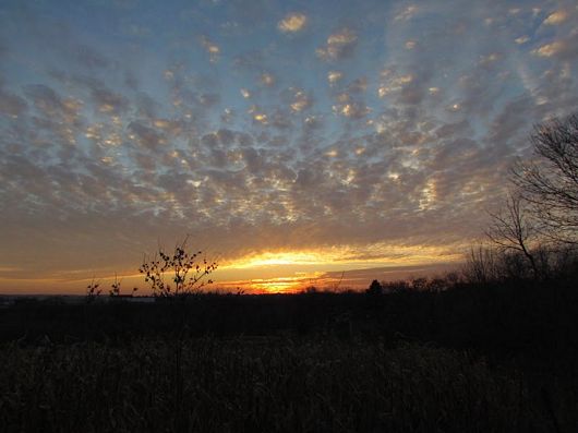 Submitted by: LaurieH