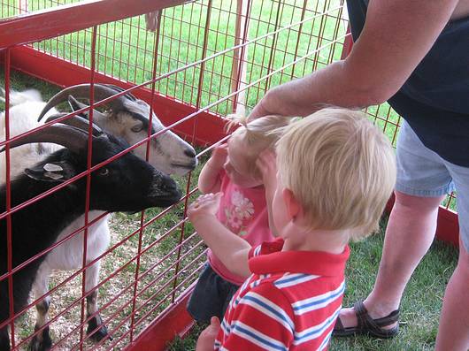 Submitted by: Cathy