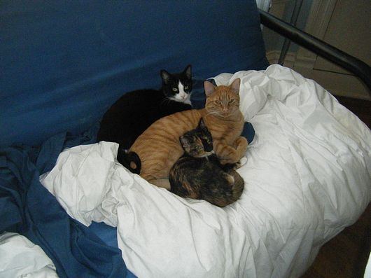 Submitted by: bstringer125