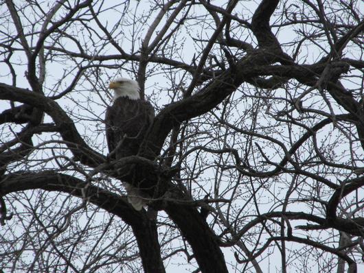 Submitted by: cdm92184