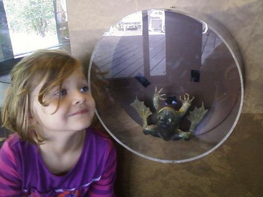 Submitted by: curious