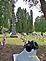 Proud flags placed by Civil War gravestones and cannon. Taken May 2011 Linwood Cemetery, Dubuque, IA by Diane Harris.