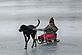 Grand daughter Isabella and pet dog Ruby. Taken February 2012 Bergfeld Pond by Diane Harris.