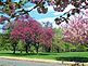 Lambert Castel Grounds. Taken May 2 2010 New Jersey by John Maas.