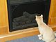 Claudia and the fireplace. Taken 12/10 our house by Patti Menster.