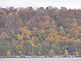 Maples and oak trees add lots of color along the Mississippi. Taken this weekend  north of Dubuque. by Dawn Pregler.