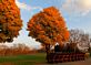 Closed for the season. Taken November 6, 2011 Flora Park by Laurie Helling.