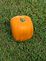 This is what you get when you grow a round pumpkin in a square box!. Taken Taken this fall at the farm. by Dawn Pregler.