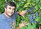 Harvesting grapes at Wollersheim Winery should begin by Sept. 10, 2008 - This is Philippe Coquard, the winemaker who started as an intern at the winery and now is the owner, along with his wife, Julie (Wollersheim) Coquard.