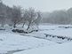 The creek is covered with snow and ice. Taken this winter at the bottom of North Cascade Road. by Dawn Pregler.