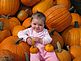 The cutest little pumpkin in the pumpkin patch!. Taken this fall at the farm. by Dawn Pregler.