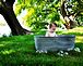 Little angel in a tub. Taken Sunday, September 13th 2009 Beloit, Wisconsin by Mandi Brenum.