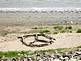 This is a photo of the beach below the Grand Harbor where the waters have receded and someone built a peace symbol out of driftwood.