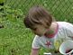 Our granddaughter Olivia. Taken July 5, 2010 in Lancaster by Grandma Judy Bevins.