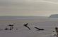 Frozen river.. Taken January 8, 2023 John Deere marsh, Dubuque, IA by Veronica McAvoy.