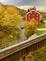 Potter's Mill on a beautiful fall day. Taken late October  Bellevue  by Lorlee Servin.