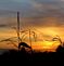 Battered Corn Tassels in November Sky. Taken November 2011 Dubuque Iowa by Laurie Helling.