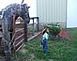 Our Granddaughter looking at our horses 		 