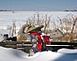 Photo is of drifting snow on full size concrete & mosaic sculpture located on a farmette outside of Platteville, Wisconsin.		 