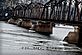 train bridge, with ducks. Taken 2/15/10 Mississippe river by Dalton Leisen.