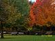 Fall at Arboretum