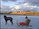 Pet dog Ruby pullin Grand daughter Isabella across the ice . Taken February 2012 Bergfeld Pond  by Diane Harris.