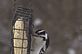 Downy woodpecker eating food. Taken 2-9-13 Backyard by Peggy Driscoll.